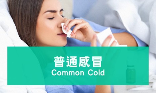 促排卵期间哪些食物不能吃-促排卵期不能吃什么食物有哪些网 - 促排卵期间哪些食物不能吃,促排卵期间哪些食物不能吃