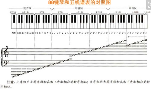 促排卵期不能吃什么食物有哪些水果-促排卵期不能吃什么食物有哪些网 - 促排卵期间哪些食物不能吃,促排卵期间哪些食物不能吃